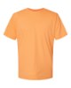 Picture of Gildan Softstyle CVC T-Shirt