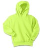 Picture of Port & Company Youth Core Fleece Pullover Hooded Sweatshirt