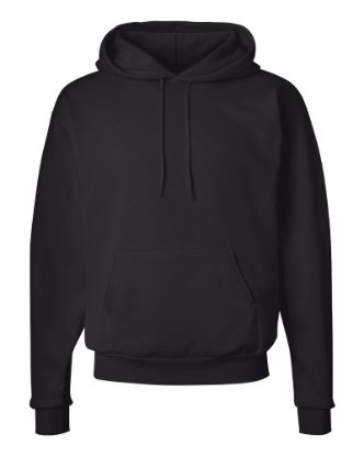 Picture of Hanes Ecosmart® Hooded Sweatshirt