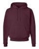 Picture of Hanes Ecosmart® Hooded Sweatshirt