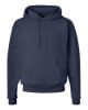 Picture of Hanes Ecosmart® Hooded Sweatshirt