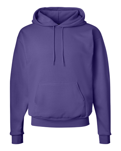 Picture of Hanes Ecosmart® Hooded Sweatshirt