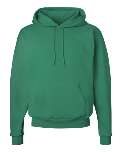 Picture of Hanes Ecosmart® Hooded Sweatshirt