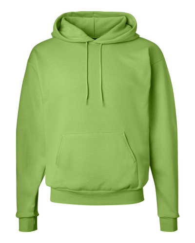 Picture of Hanes Ecosmart® Hooded Sweatshirt