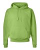 Picture of Hanes Ecosmart® Hooded Sweatshirt