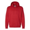 Picture of Hanes Ecosmart® Hooded Sweatshirt