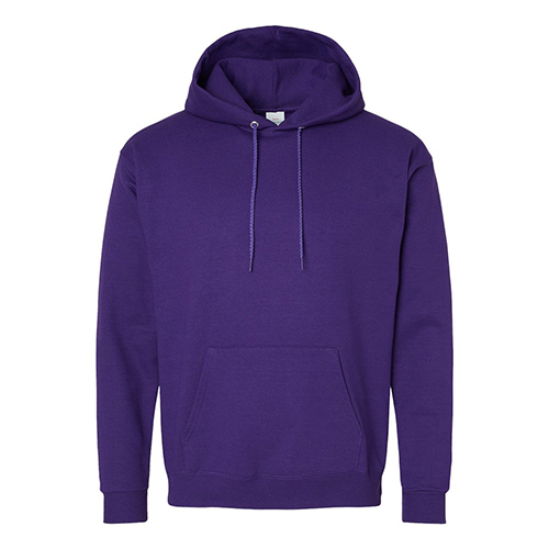 Picture of Hanes Ecosmart® Hooded Sweatshirt