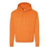 Picture of Hanes Ecosmart® Hooded Sweatshirt