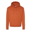 Picture of Hanes Ecosmart® Hooded Sweatshirt