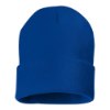 Picture of Sportsman 12" Solid Cuffed Beanie