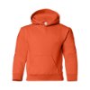 Picture of Gildan Heavy Blend™ Youth Hooded Sweatshirt