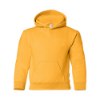 Picture of Gildan Heavy Blend™ Youth Hooded Sweatshirt