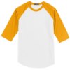 Picture of Sport-Tek Youth Colorblock Raglan Jersey