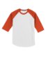 Picture of Sport-Tek Youth Colorblock Raglan Jersey