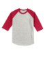 Picture of Sport-Tek Youth Colorblock Raglan Jersey