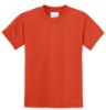 Picture of Port & Company Youth Core Blend T-Shirt