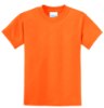 Picture of Port & Company Youth Core Blend T-Shirt