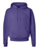 Picture of Hanes Ecosmart® Hooded Sweatshirt