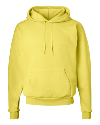 Picture of Hanes Ecosmart® Hooded Sweatshirt