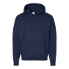 Picture of Hanes Ecosmart® Hooded Sweatshirt