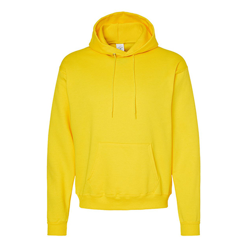 Picture of Hanes Ecosmart® Hooded Sweatshirt