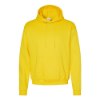 Picture of Hanes Ecosmart® Hooded Sweatshirt