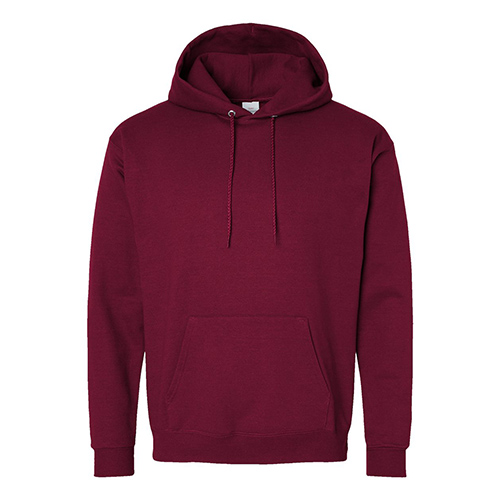 Picture of Hanes Ecosmart® Hooded Sweatshirt