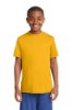 Picture of Sport-Tek Youth PosiCharge Competitor T-Shirt