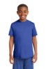 Picture of Sport-Tek Youth PosiCharge Competitor T-Shirt