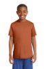 Picture of Sport-Tek Youth PosiCharge Competitor T-Shirt