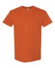 Picture of Gildan Heavy Cotton T-Shirt