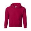 Picture of Hanes Ecosmart® Youth Hooded Sweatshirt