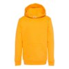 Picture of Hanes Ecosmart® Youth Hooded Sweatshirt