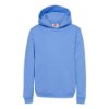 Picture of Hanes Ecosmart® Youth Hooded Sweatshirt