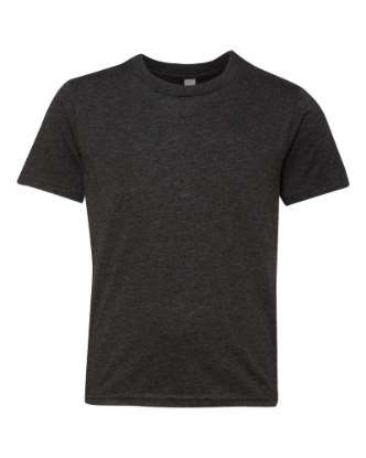 Picture of Next Level Youth Triblend T-Shirt