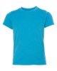 Picture of Next Level Youth Triblend T-Shirt