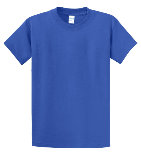 Picture of Port & Company Essential T-Shirt