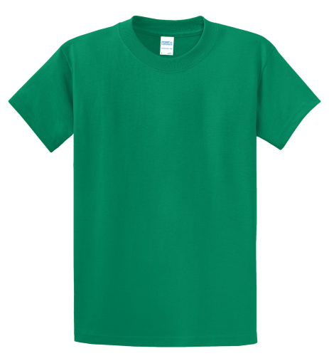 Picture of Port & Company Essential T-Shirt