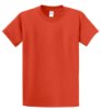 Picture of Port & Company Essential T-Shirt