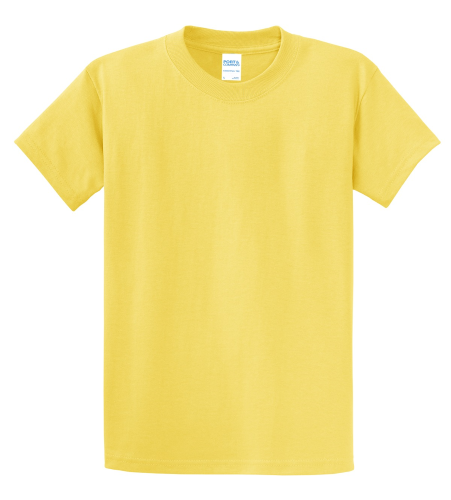 Picture of Port & Company Essential T-Shirt