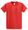 Picture of Port & Company Essential T-Shirt