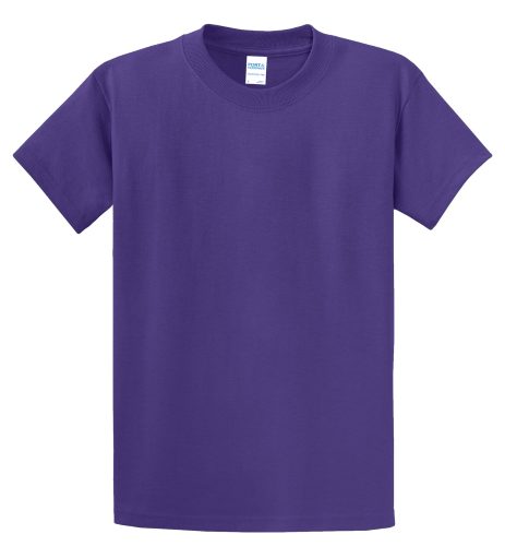 Picture of Port & Company Essential T-Shirt