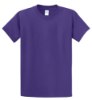 Picture of Port & Company Essential T-Shirt