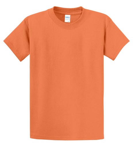 Picture of Port & Company Essential T-Shirt