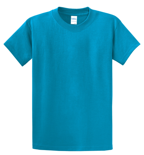 Picture of Port & Company Essential T-Shirt