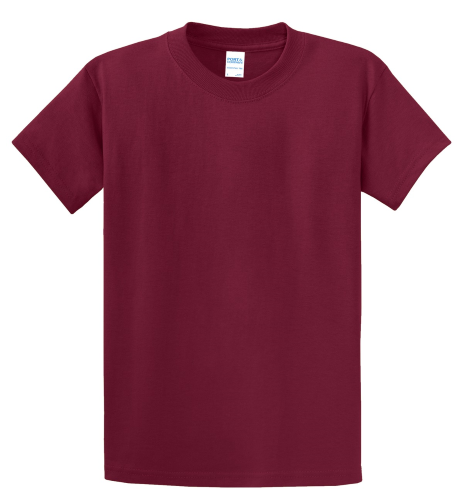 Picture of Port & Company Essential T-Shirt