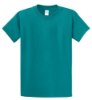 Picture of Port & Company Essential T-Shirt