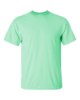 Picture of Gildan Ultra Cotton T-Shirt