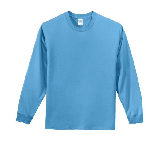 Picture of Port & Company Long Sleeve Essential T-Shirt