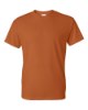 Picture of Gildan DryBlend T-Shirt